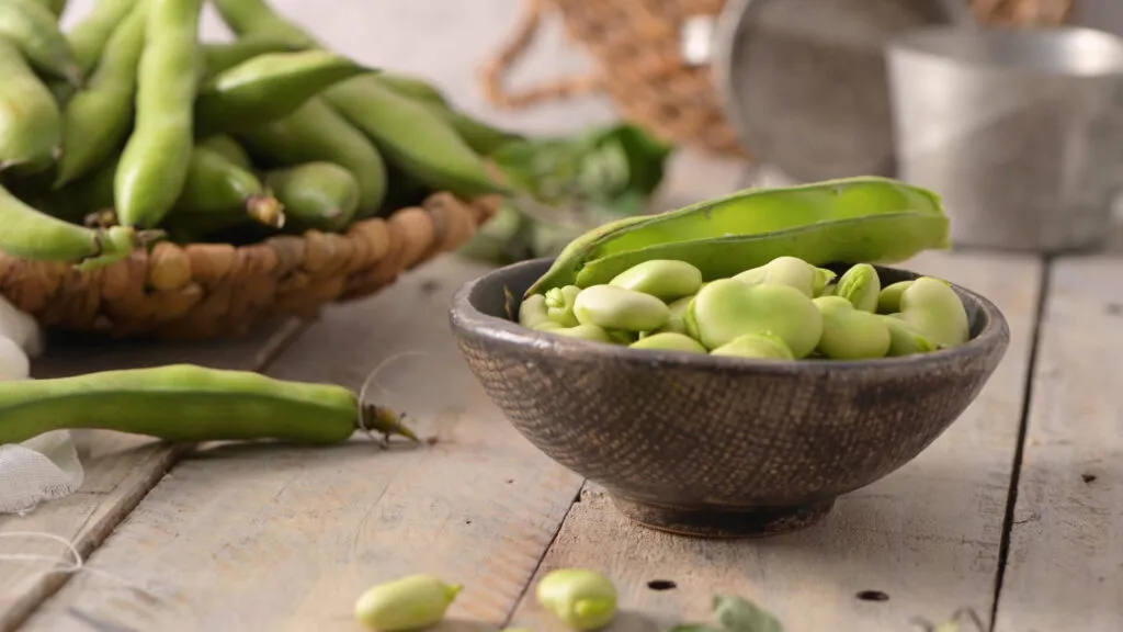 Fave fresche sgranate in una ciotola scura accanto ai baccelli verdi aperti, su un tavolo di legno