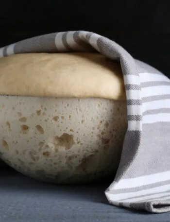 Impasto lievitato in una ciotola di vetro coperta da un canovaccio, con le bolle della lievitazione visibili attraverso la parete
