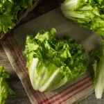 Cespo di scarola tagliato a metà per il lungo, con la costa bianca e il cuore chiaro in evidenza, e una foglia staccata accanto su un canovaccio di lino