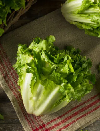 Cespo di scarola tagliato a metà per il lungo, con la costa bianca e il cuore chiaro in evidenza, e una foglia staccata accanto su un canovaccio di lino