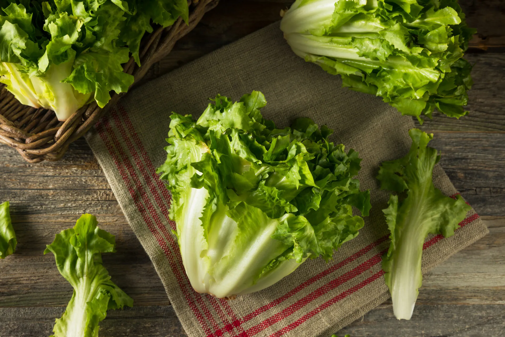 Cespo di scarola tagliato a metà per il lungo, con la costa bianca e il cuore chiaro in evidenza, e una foglia staccata accanto su un canovaccio di lino