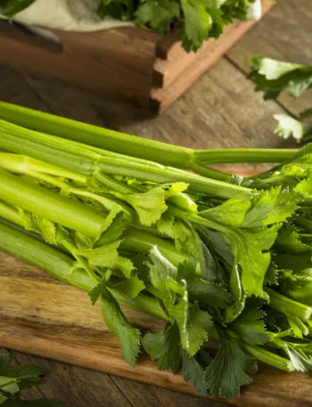Cespo di sedano intero su un tagliere di legno, con le coste chiare e le foglie verdi ancora attaccate