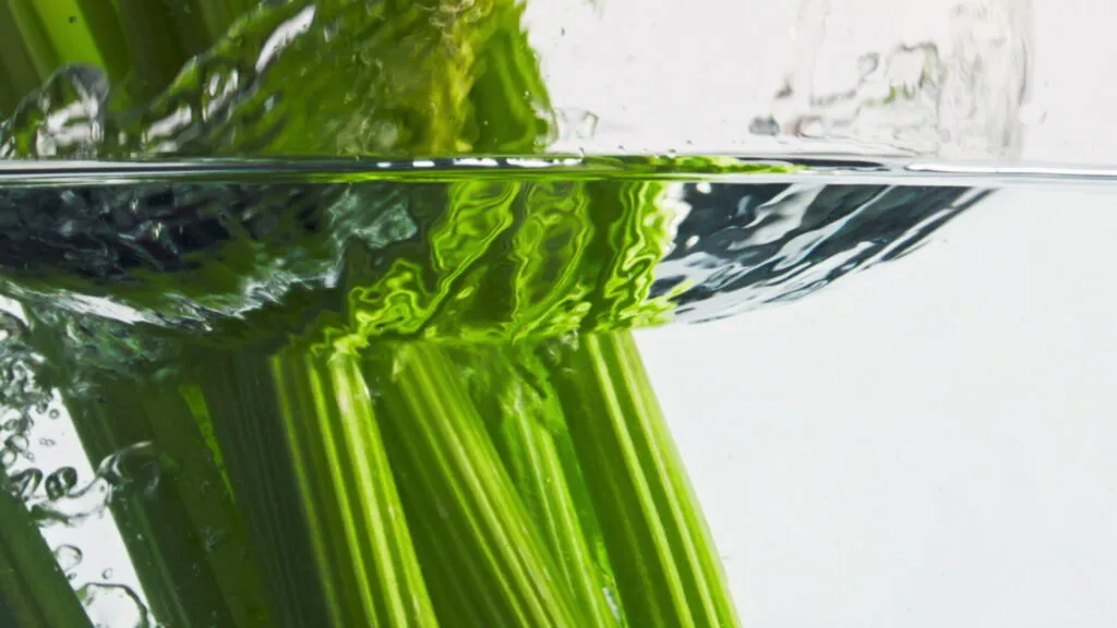 Coste di sedano immerse in acqua fredda, con la linea dell'acqua che attraversa l'immagine